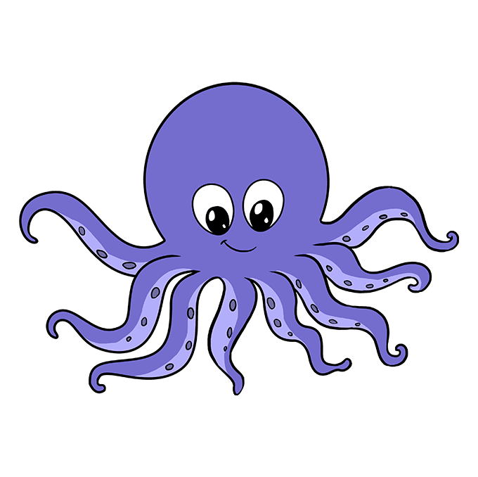 octopus picture